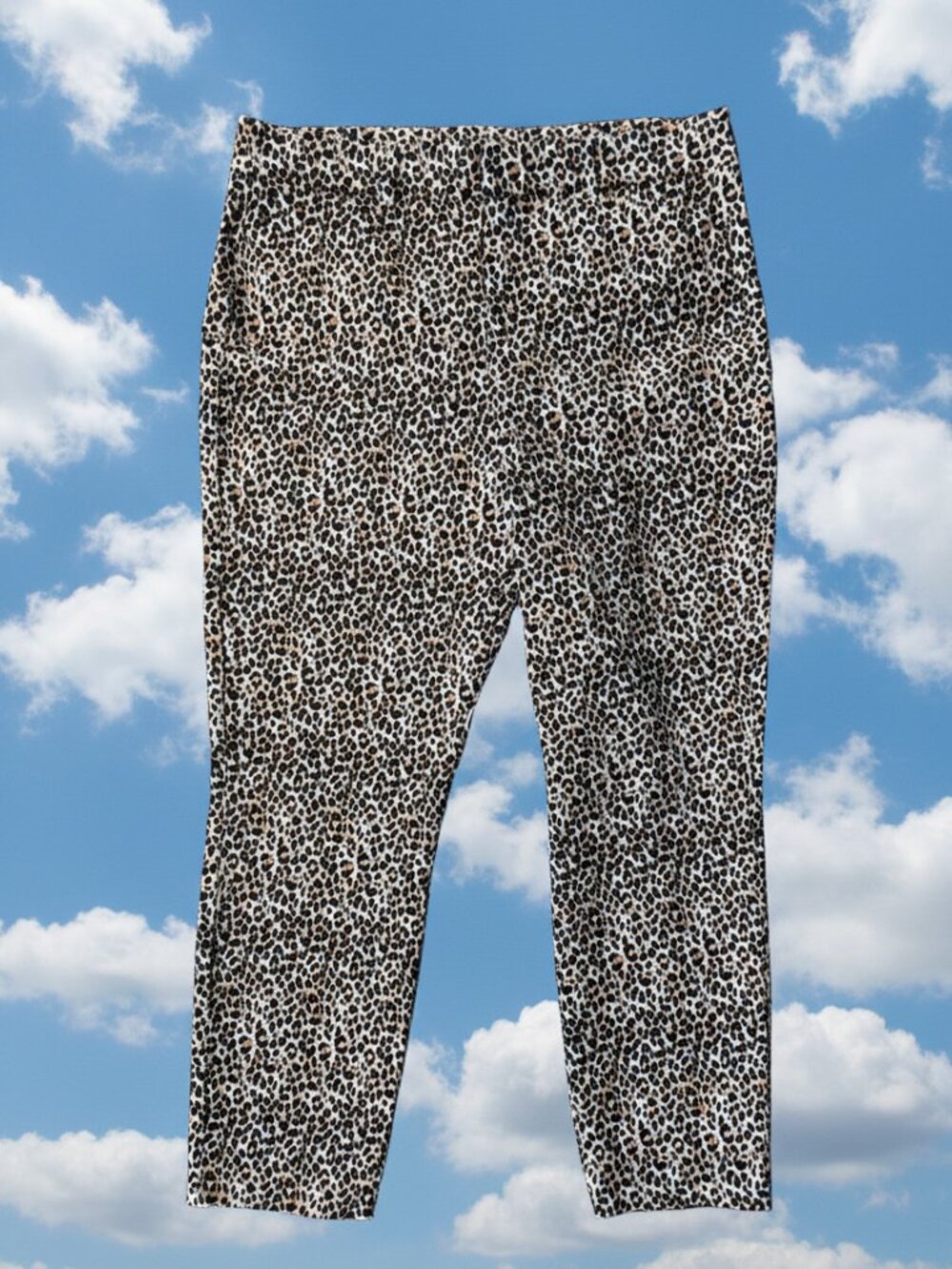 Old Navy High-Rise Pixie Pants | Leopard Print | Size 10